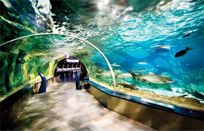 Istanbul Aquarium and Aqua Florya Shopping Mall Tour - Key Points