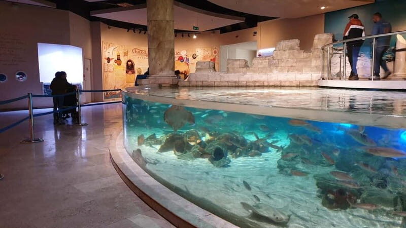 Istanbul: Aquarium Ticket and Round Trip Shuttle from Taksim - Final Thoughts: The True Value of the Aquarium Tour from Taksim