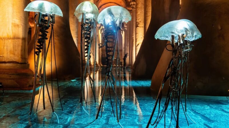 Istanbul: Basilica Cistern Guided Tour - Final Verdict: Who Should Book This Tour?