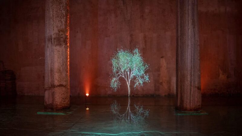 Istanbul: Basilica Cistern Skip-the-Ticket-Line Guided Tour - FAQ