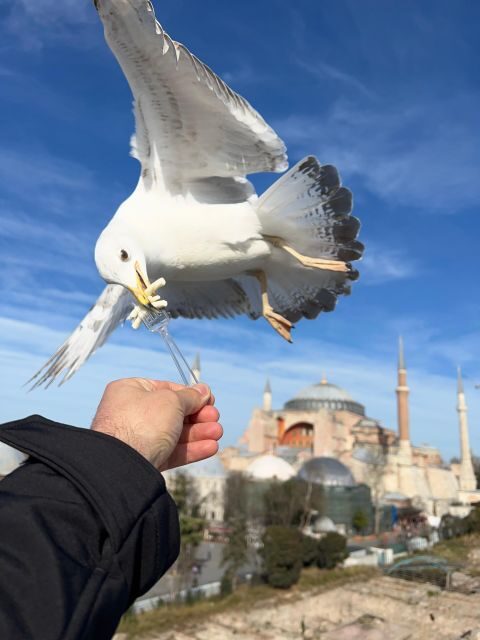 Istanbul: Best of The City Full-Day Tour with Transfers - Similar Experiences to Consider; Blue Mosque & Hagia Sophia Tour; Private City Highlights