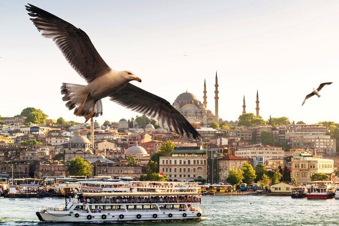 Istanbul Bosphorus Boat Tour and Golden Horn Cruise Day or Sunset - Final Words