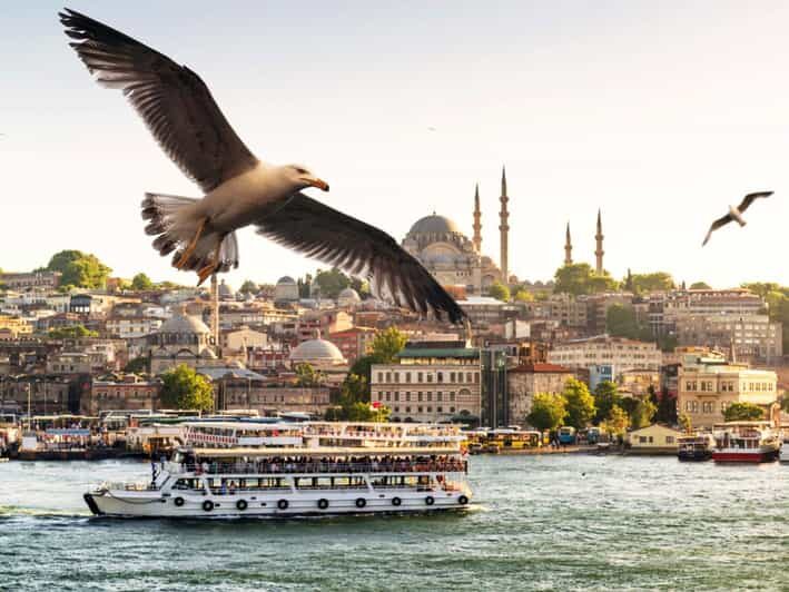 Istanbul: Bosphorus Morning/Sunset Cruise with Optional Stop - A Deep Dive into the Bosphorus Cruise Experience