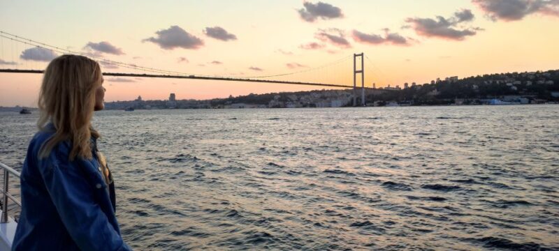 Istanbul: Bosphorus Sunset Cruise on Yacht with Live Guide - Who Will Love This Tour?