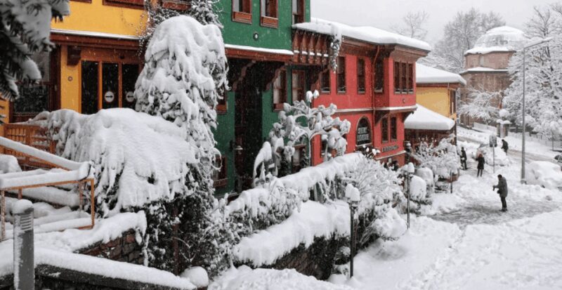 Istanbul: Bursa & Uludag Tour with Lunch & Cable Car Option - Who Should Book This Tour?