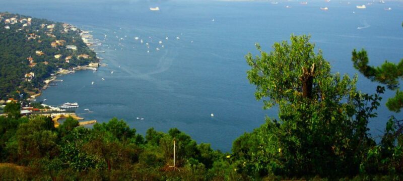 Istanbul: Day Trip to the Princes' Islands - Exploring the Princes’ Islands: A Practical Breakdown