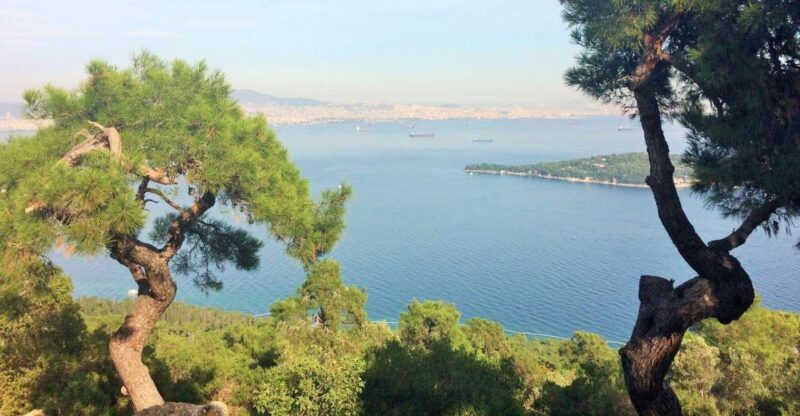 Istanbul: Day Trip to the Princes' Islands - Who Will Enjoy This Tour Most?