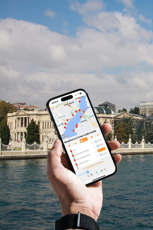Istanbul: Daytime or Sunset Sightseeing Cruise & Audio Guide - A Detailed Look at the Experience