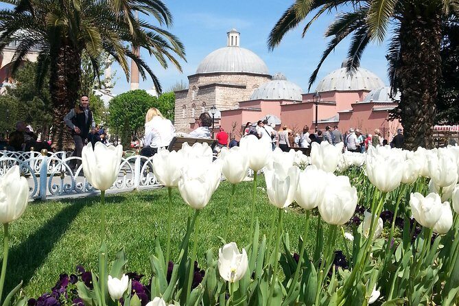 Istanbul Delights: A Journey Through Flavor and History - A Closer Look at the Tour Experience