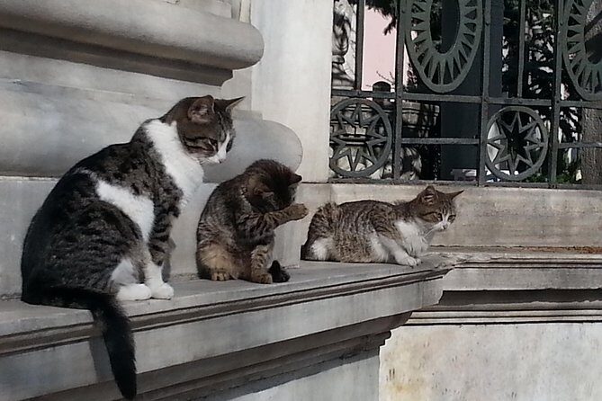 Istanbul Delights: A Journey Through Flavor and History - Who Will Love This Tour?