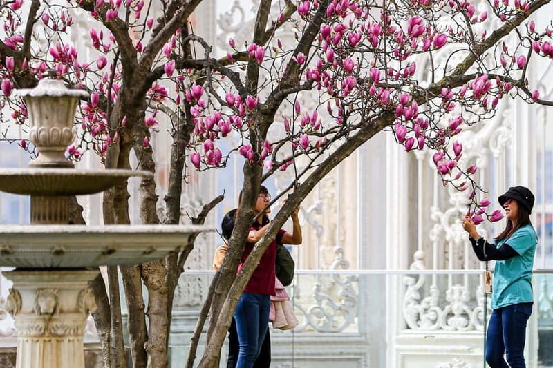 Istanbul: Dolmabahce Palace and Harem Fast-Track & Audio - Final Thoughts
