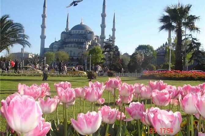 Istanbul: Full Day Private Guided Tour of Iconic Landmarks - Final Thoughts