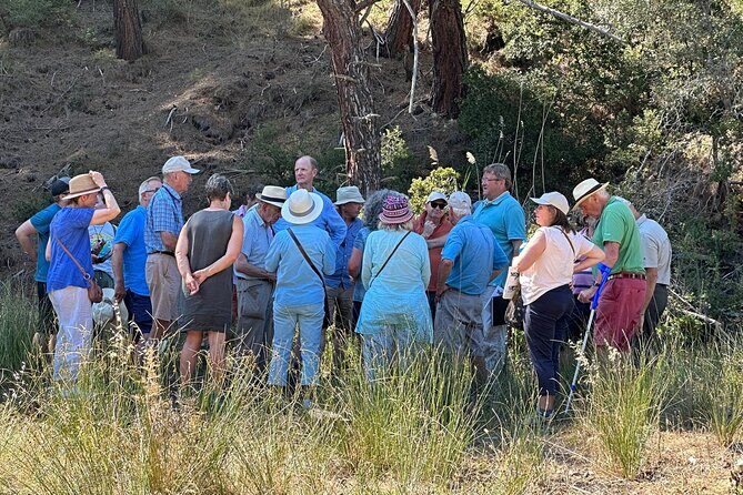 Istanbul Gallipoli Experienced Daily Tour - A Journey Through Gallipoli: What to Expect