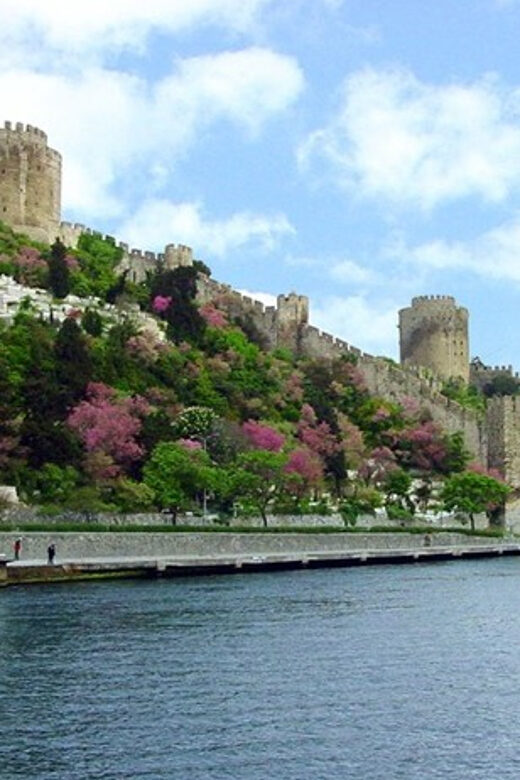 Istanbul Half-Day Tour and Bosphorus Cruise - An In-Depth Look at the Istanbul Half-Day Tour and Bosphorus Cruise