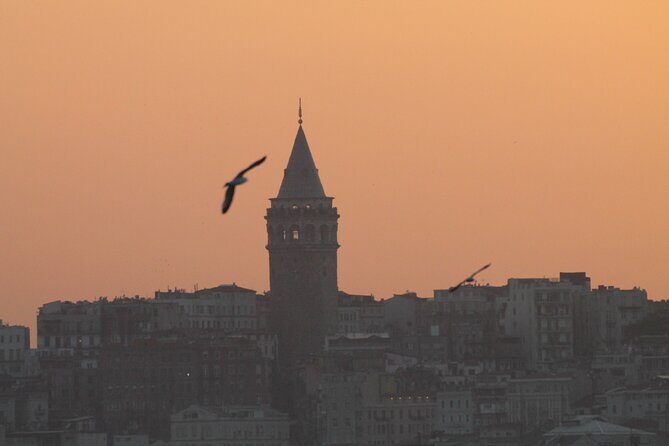 Istanbul IST Airport Economy Minivan Transfer - Who Should Consider This Service?