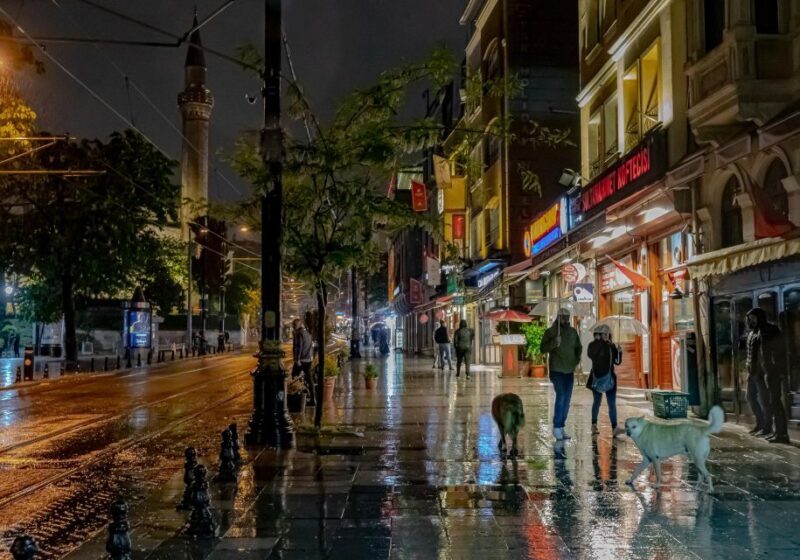 Istanbul: Istanbul Night Walking Tour - An In-Depth Look at the Tour
