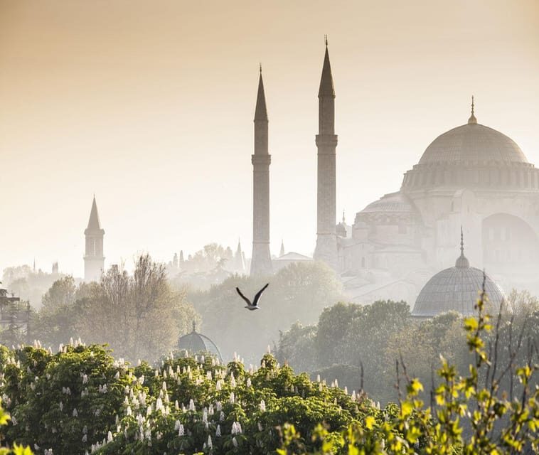 Istanbul: Luxury Istanbul Old City Private Day Tour - Exploring the Heart of Istanbul: A Detailed Look