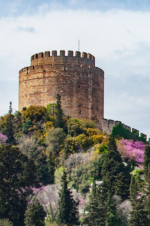 Istanbul: Morning or Sunset Cruise with Guide and Snacks - Setting Sail on the Bosphorus: What to Expect