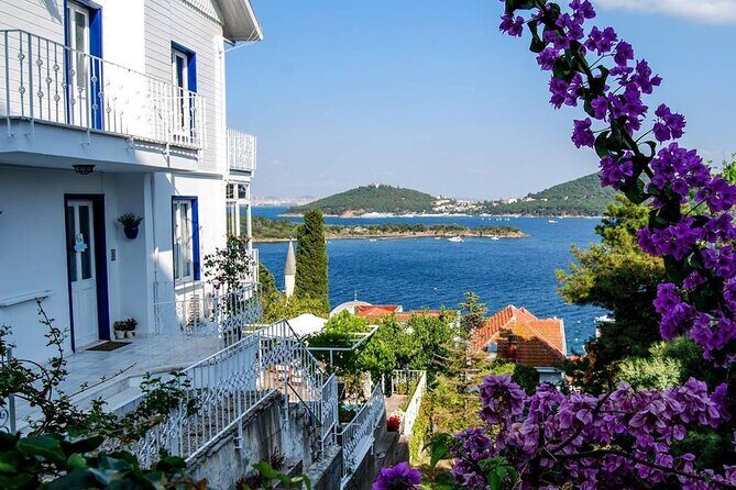Istanbul Princes Island Tour with Lunch & Hotel Transfer - The Full Experience: A Deep Dive