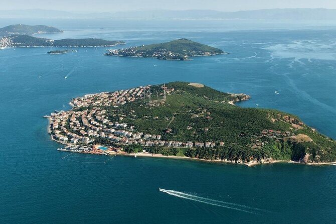 Istanbul Princes Islands Boat Trip with Lunch - Who Will Enjoy This Tour?