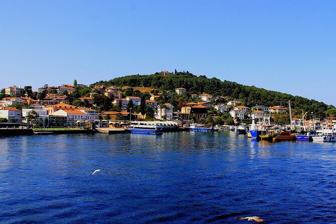 Istanbul: Princes Islands Tour with Heybeliada and Büyükada - Who Should Consider This Tour?