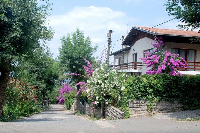 Istanbul: Princes Islands Tour with Heybeliada and Büyükada - Frequently Asked Questions