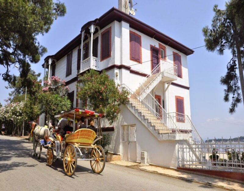 Istanbul: Princes' Islands Tour with Lunch and Transfers - The Experience on the Islands