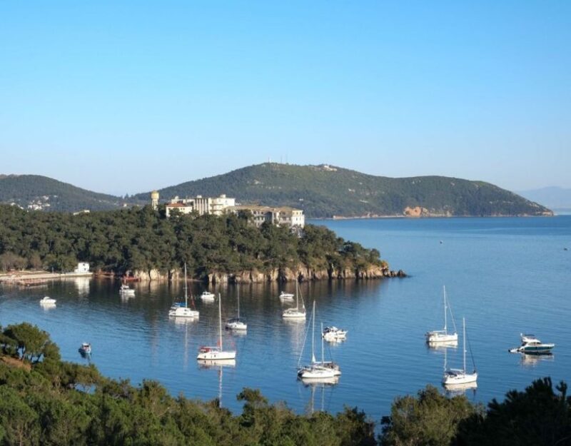 Istanbul: Princes' Islands Tour with Lunch and Transfers - The Reviews Speak Volumes