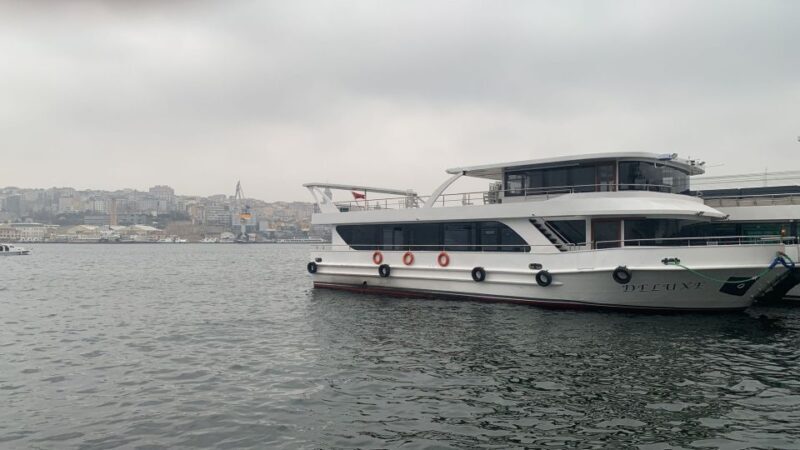 Istanbul: Princes' Islands Tour with Lunch and Transfers - Who Would Enjoy This Tour?