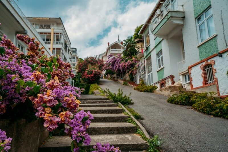 Istanbul: Princes Islands Walking Full-Day Tour - Büyükada: An Island of Elegance and Serenity
