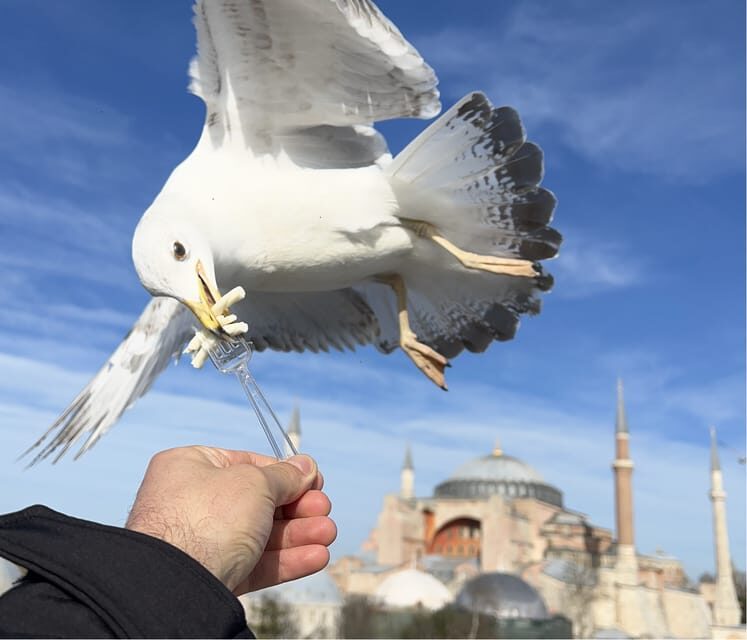 Istanbul: Private City Tour with pick up & drop off - Who Should Consider This Tour?