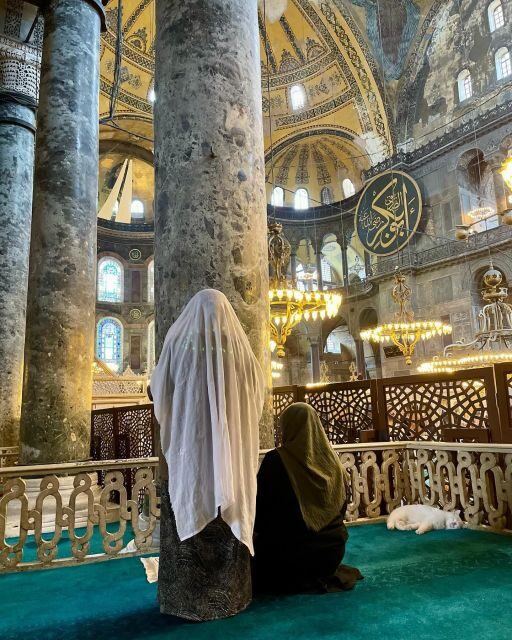 Istanbul Private Full-Day Highlights Tour with Guide - Key Points