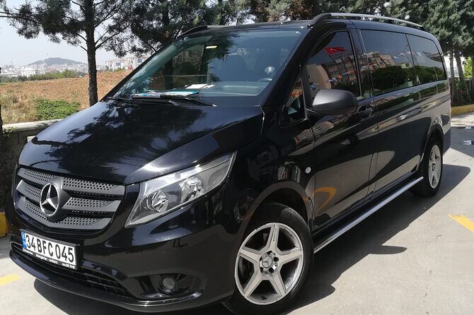 Istanbul Private Transfer - Airports, Cruise Ports and Hotels - Who is this service best suited for?