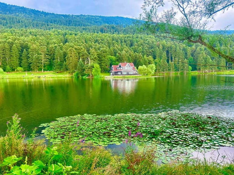 Istanbul: Sapanca, Bolu, Safranbolu and Amasra guided tour - The Practical Side of Things
