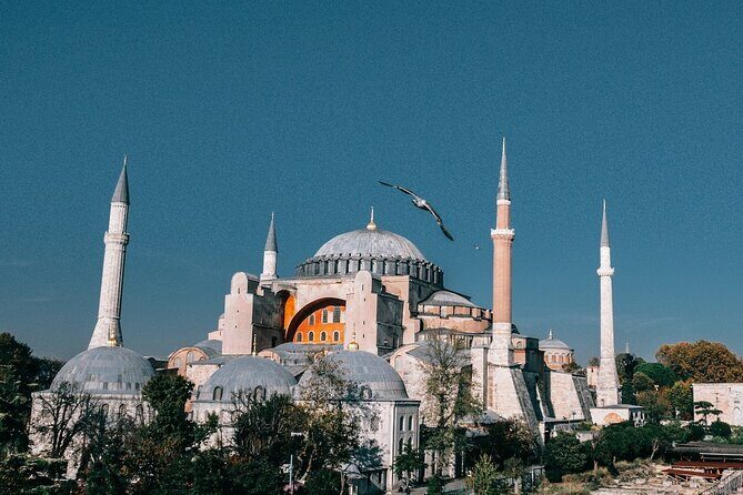 Istanbul Shore Excursion by TRAM: Half Day Private Tour from Port - Who Should Book This Tour?