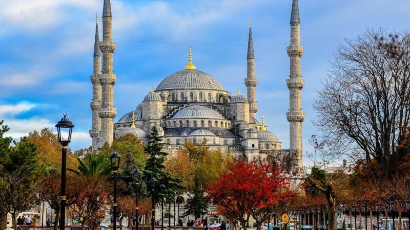 Istanbul: Short Guided Walking Tour of Old City Istanbul - Key Points