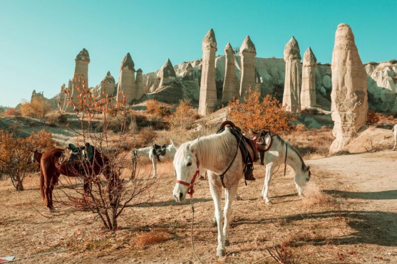 Istanbul to Cappadocia All Inclusive Private Day Tour - Discover Cappadocia in a Day: An All-Inclusive Private Tour from Istanbul