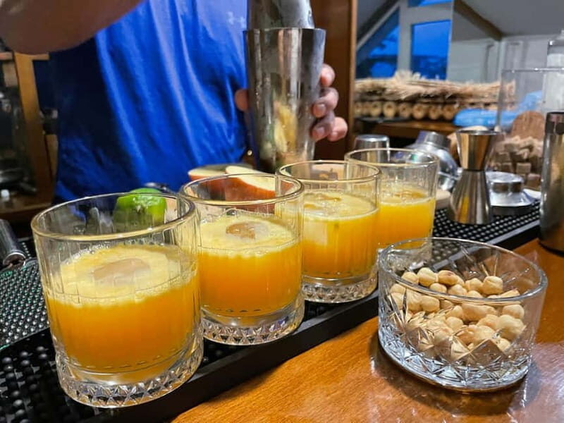 Istanbul: Turkish Cocktail Workshop with Locals at Home Bar - Discover Istanbul’s Flavors and Hospitality Through a Turkish Cocktail Workshop
