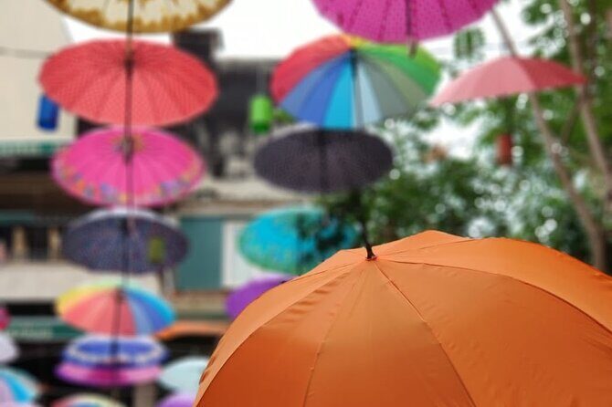 Istanbul Walking Food Tour With Secret Food Tours - FAQ