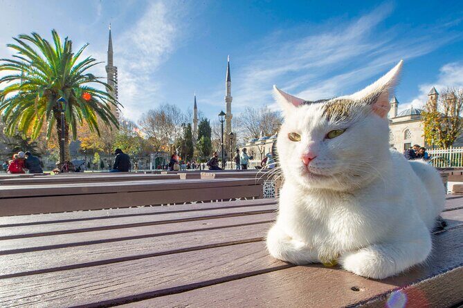 Istanbul Walking Tour with Audioguide on Your Smartphone - Final Thoughts: Is This Tour for You?