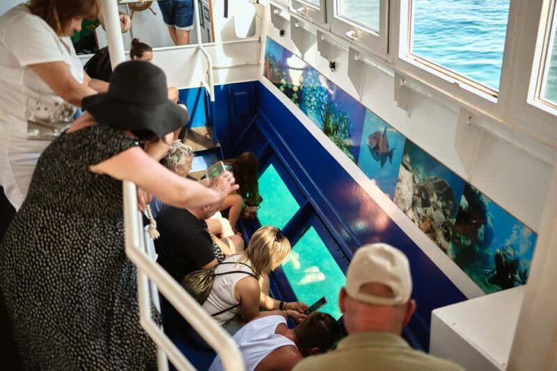 Istria: Aquavision Glassboat panoramic tour of Umag - The Sum Up