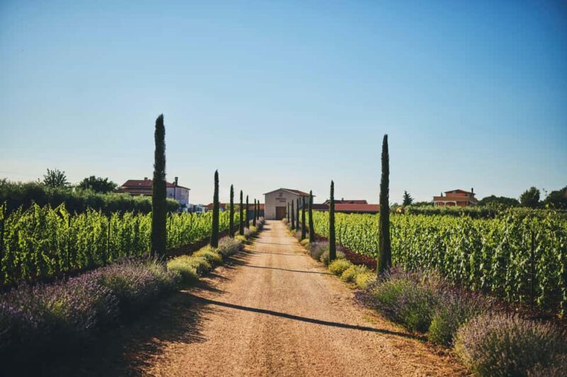 Istria: Pervino wine tasting - Exploring Pervino: A Family-Run Croatian Gem