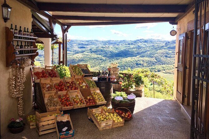 Istria Private Day Trip - The Sum Up: Who Will Love This Tour?