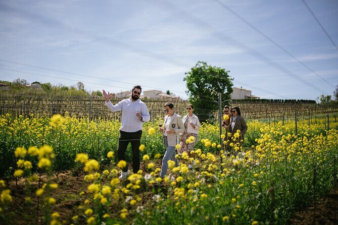 Istria Wine Tour from Rijeka and Opatija - Introduction: A Taste of Istrias Charm and Flavors