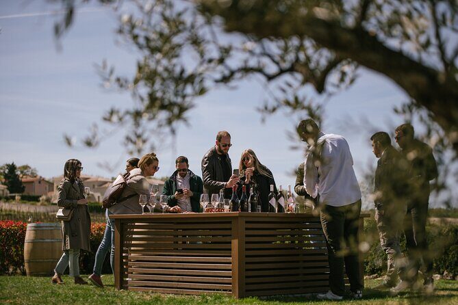 Istria Wine Tour from Rijeka and Opatija - The Sum Up: A Real Taste of Istria