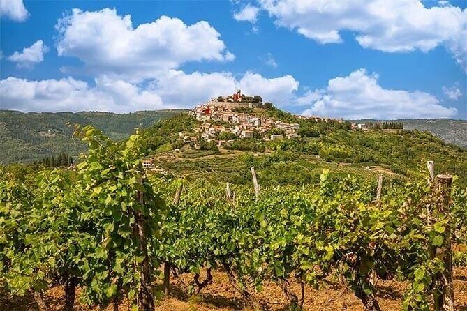 Istrian Inland: Motovun and Gronjan half day tour (From Rovinj) - What Travelers Love About the Tour