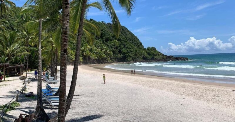 Itacare: 4 Beaches Trail and Tijuipe Waterfall - Itacare: 4 Beaches Trail and Tijuipe Waterfall – A Deep Dive into Brazil’s Coastal Beauty