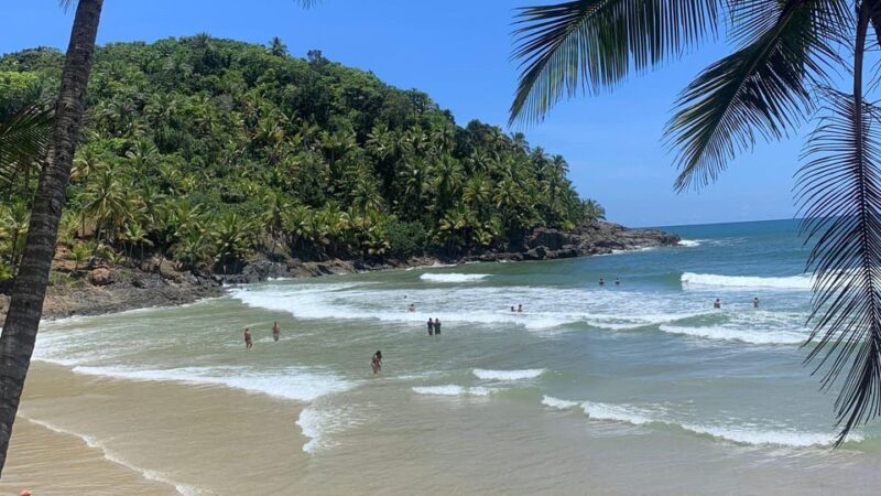 Itacare: 4 Beaches Trail and Tijuipe Waterfall - Frequently Asked Questions