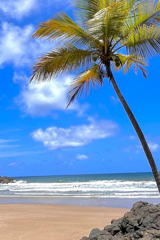 Itacare: 4 Beaches Trail and Tijuipe Waterfall - Final Thoughts