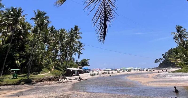 Itacare: Jeribucaçu Trail and Usina Waterfall - Authentic Experiences and Practical Tips